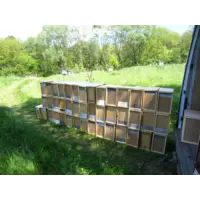 Бджолопакети (ціна-якість) 1 300 грн/штука